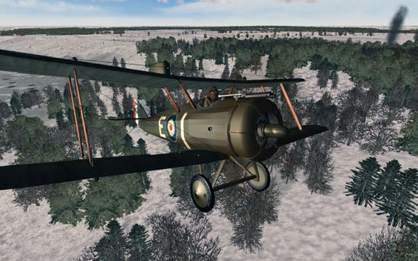 DH5