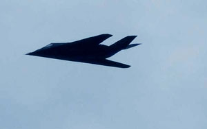 Nighthawk