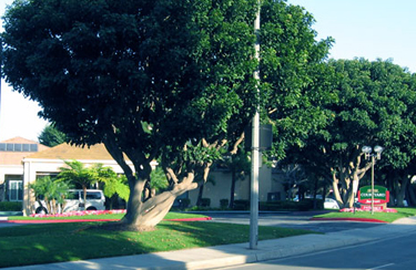 The usual SimHQ FBO for events in LA