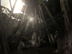 Congo - After