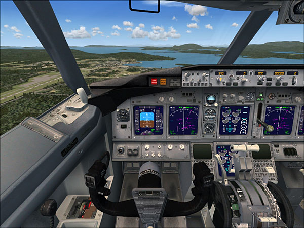A 737-800 from FSX